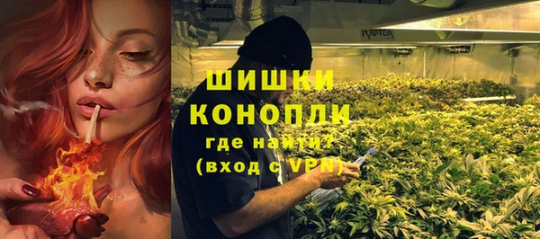 индика Карталы