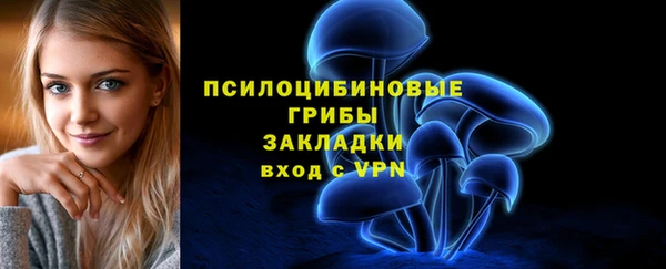 apvp Козловка