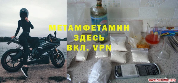 сатива Новокубанск