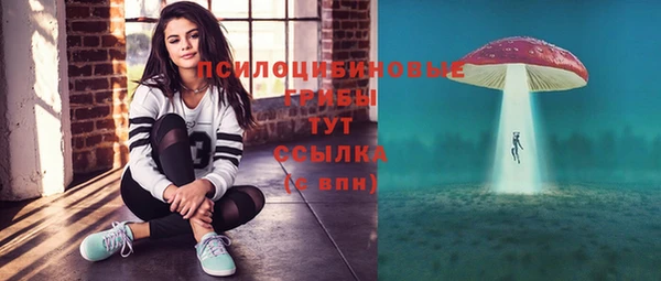 индика Карталы