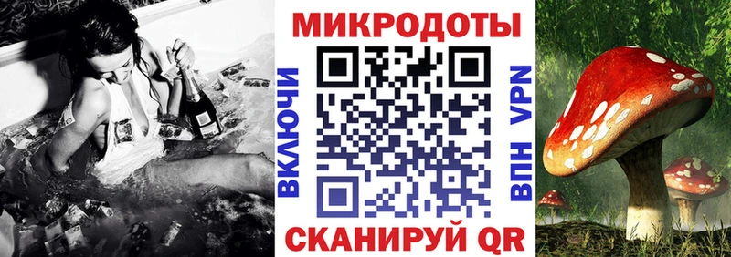 blacksprut ТОР  Медвежьегорск  Галлюциногенные грибы Psilocybe 